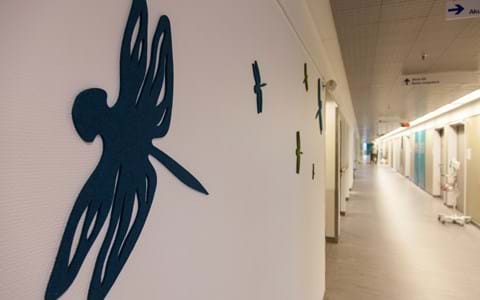 Fraster filt udskåret som guldsmed opklæbet på væg